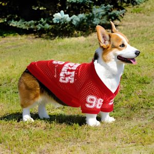Pet Dog Sun Protection Outdoor Ball Uniform