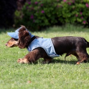 Pet Wild Cowboy Hat Sunscreen Dog Sun Protection Hat